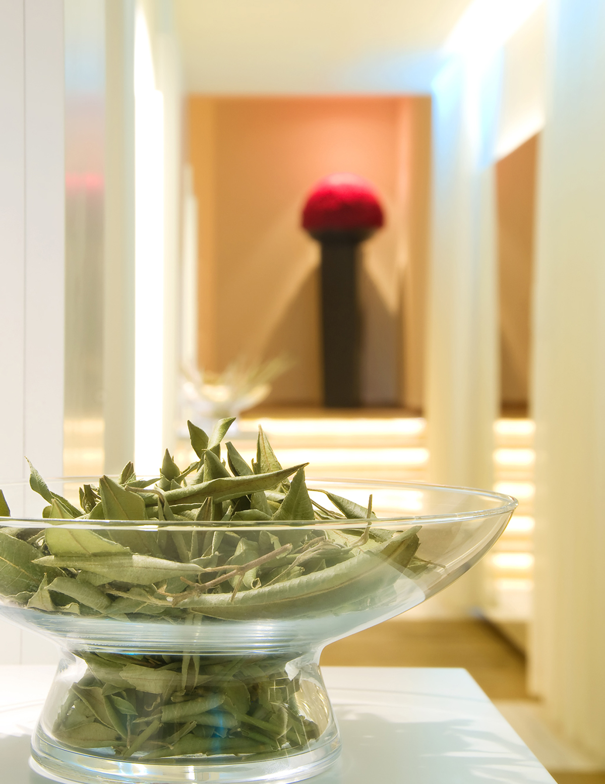 Wellness Hotel Sackmann